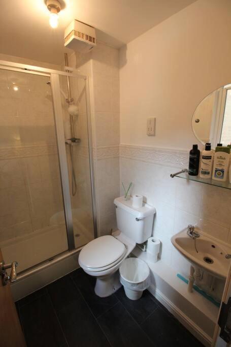 3 Bedroom Flat 10 Mins Walk To Bay And City Center Free Parking Cardiff Eksteriør billede